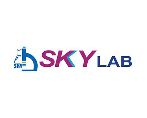 Sky Lab