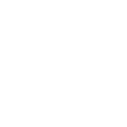 Business Analysis