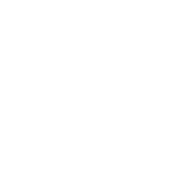 UX and UI Design